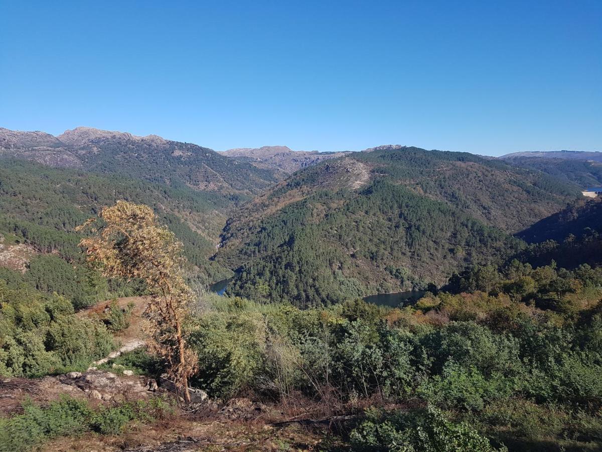 Quinta Da Resteva-Chale Do Rio Vieira do Minho Eksteriør billede